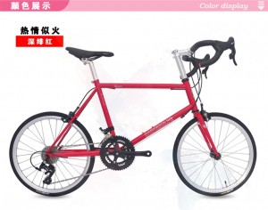 DARKROCK GONI 451小輪徑整車