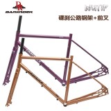 DARKROCK黑巖WUTIP碟剎公路車(chē)架+前叉