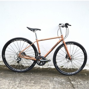 DARKROCK黑巖WUTIP碟剎公路車（4700直把版）